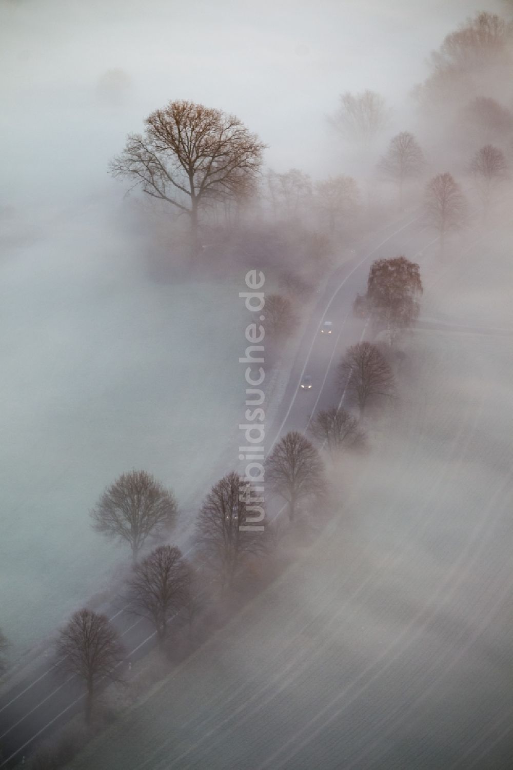 Hamm von oben - Straßenverkehr bei Nebel entlang der Wiesen der Lippeauen beim Sonnenaufgang an einer Landstraße am Stadtrand von Hamm Nordrhein-Westfalen