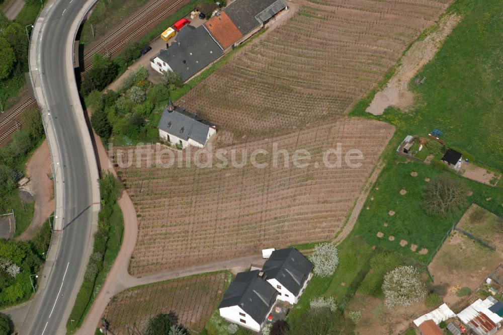 Trier aus der Vogelperspektive: Straßenverlauf, Felder und Bauernhof im Ortsbezirk Feyen in Trier im Bundesland Rheinland-Pfalz