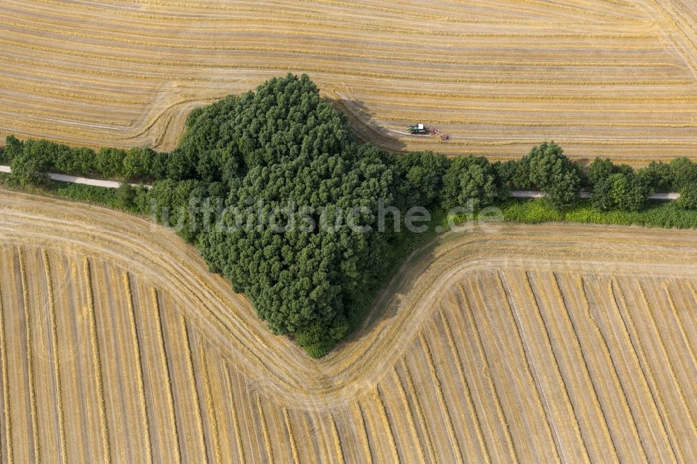 Hamm von oben - Stroh- Feld bei der Ernte an der Münsterstraße bei Hamm in Nordrhein-Westfalen