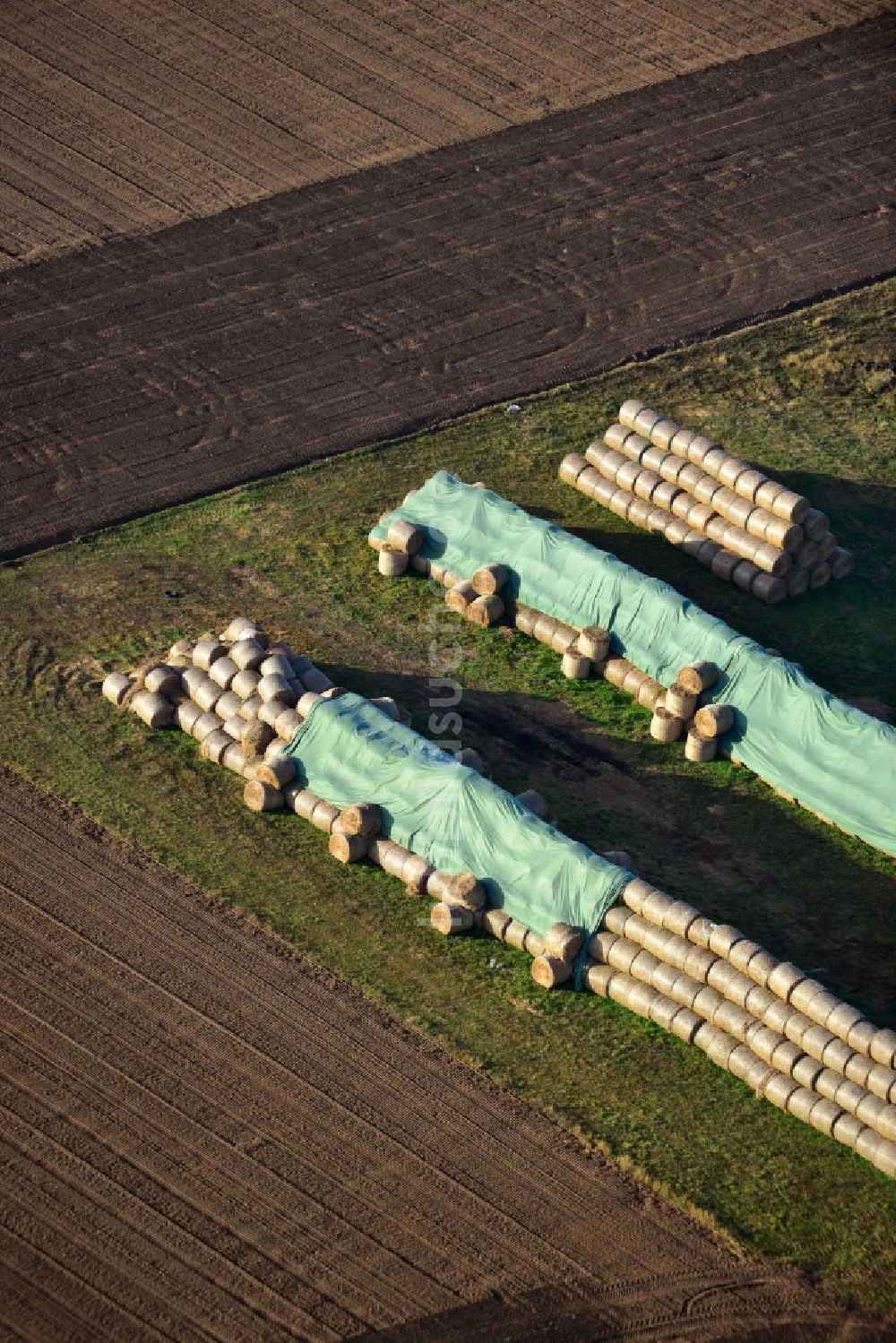 Luftaufnahme Blätz - Strohballen auf einem abgeernteten Feld in Blätz im Bundesland Sachsen-Anhalt