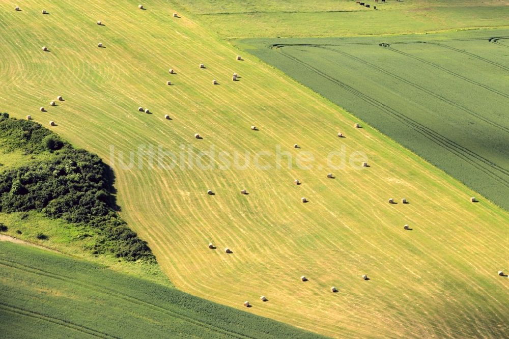 Arnstadt von oben - Strohballen auf einem Feld bei Arnstadt im Bundesland Thüringen