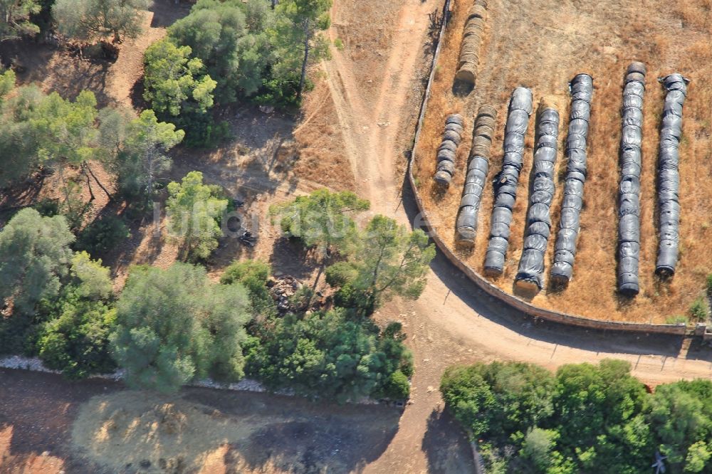 Luftbild Manacor - Strohballen- Landschaft auf einem Feld am Ortsrand bei Manacor in Mallorca auf der balearischen Mittelmeerinsel Mallorca, Spanien