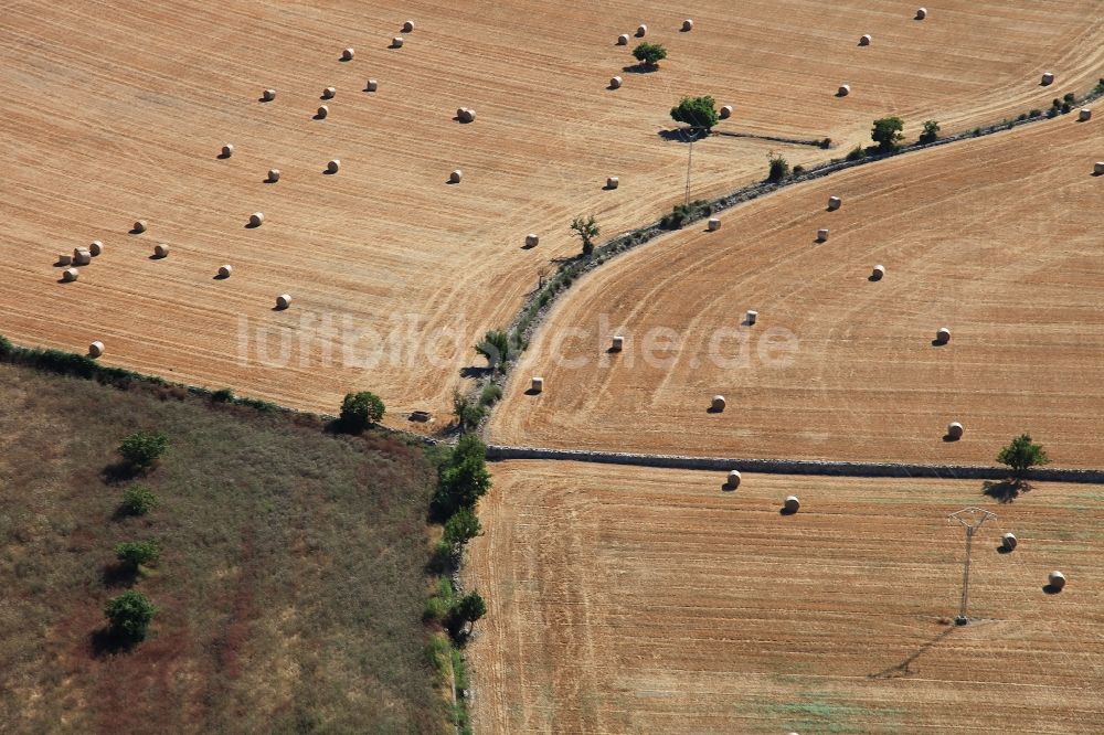 Binissalem von oben - Strohballen- Landschaft auf einem Feld am Ortsrand in Binissalem Mallorca auf der balearischen Mittelmeerinsel Mallorca, Spanien