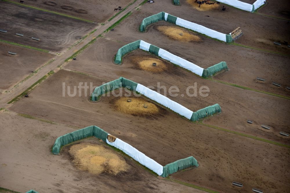 Luftaufnahme Muchow - Strohballen- Landschaft auf einem Feld am Ortsrand in Muchow im Bundesland Mecklenburg-Vorpommern