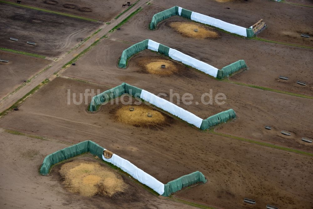 Muchow von oben - Strohballen- Landschaft auf einem Feld am Ortsrand in Muchow im Bundesland Mecklenburg-Vorpommern