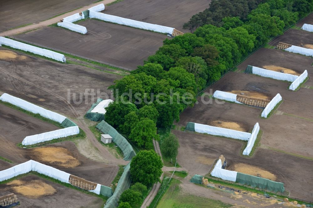 Luftbild Muchow - Strohballen- Landschaft auf einem Feld am Ortsrand in Muchow im Bundesland Mecklenburg-Vorpommern