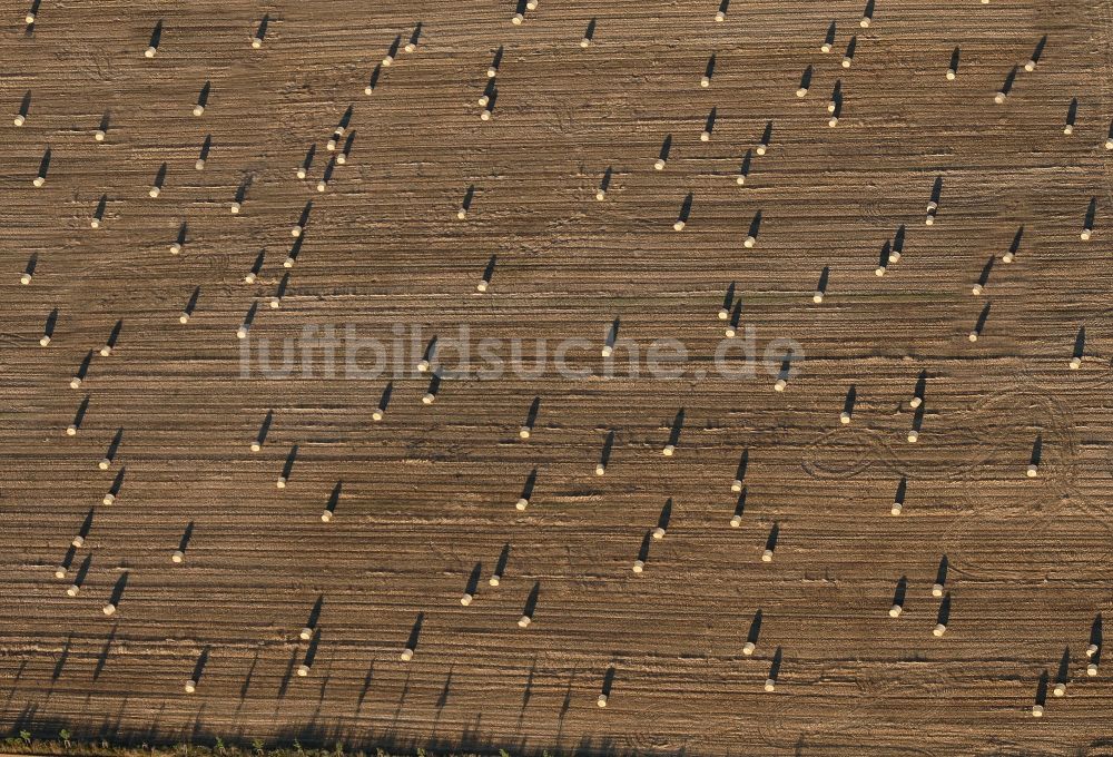 Luftaufnahme Bernau im Schwarzwald - Strohballen- Landschaft auf einem Feld am Ortsrand im Ortsteil Kaiserhaus in Bernau im Schwarzwald im Bundesland Baden-Württemberg