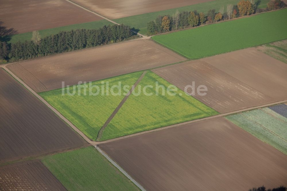 Büttelborn von oben - Struktur auf einem landwirtschaftlichen Feld bei Büttelborn im Bundesland Hessen