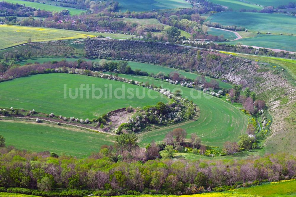 Luftbild Wasserthaleben - Strukturen einer Auen und- Wiesen- Landschaft der Helbe in Wasserthaleben im Bundesland Thüringen, Deutschland