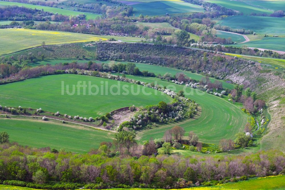 Luftaufnahme Wasserthaleben - Strukturen einer Auen und- Wiesen- Landschaft der Helbe in Wasserthaleben im Bundesland Thüringen, Deutschland