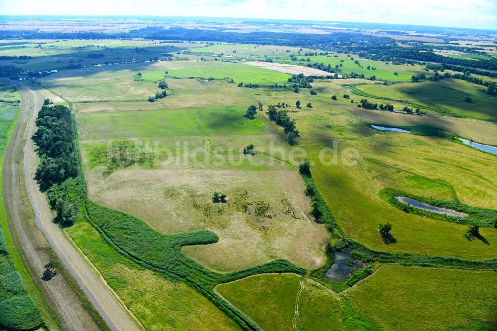 Schöneberg aus der Vogelperspektive: Strukturen einer Auen und- Wiesen- Landschaft in Schöneberg im Bundesland Brandenburg, Deutschland