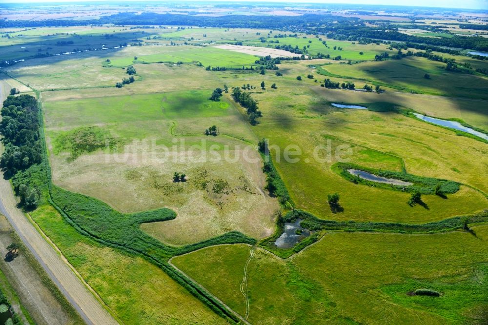 Luftbild Schöneberg - Strukturen einer Auen und- Wiesen- Landschaft in Schöneberg im Bundesland Brandenburg, Deutschland