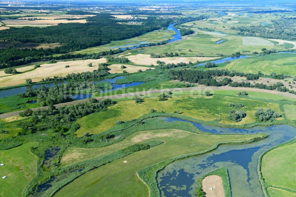 Schöneberg von oben - Strukturen einer Auen und- Wiesen- Landschaft in Schöneberg im Bundesland Brandenburg, Deutschland