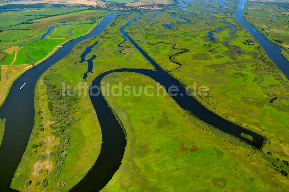 Luftbild Gartz - Strukturen einer Auen und- Wiesen- Landschaft am Ufer des Flußverlaufes der Oder in Gartz in West Pomeranian Voivodeship, Polen