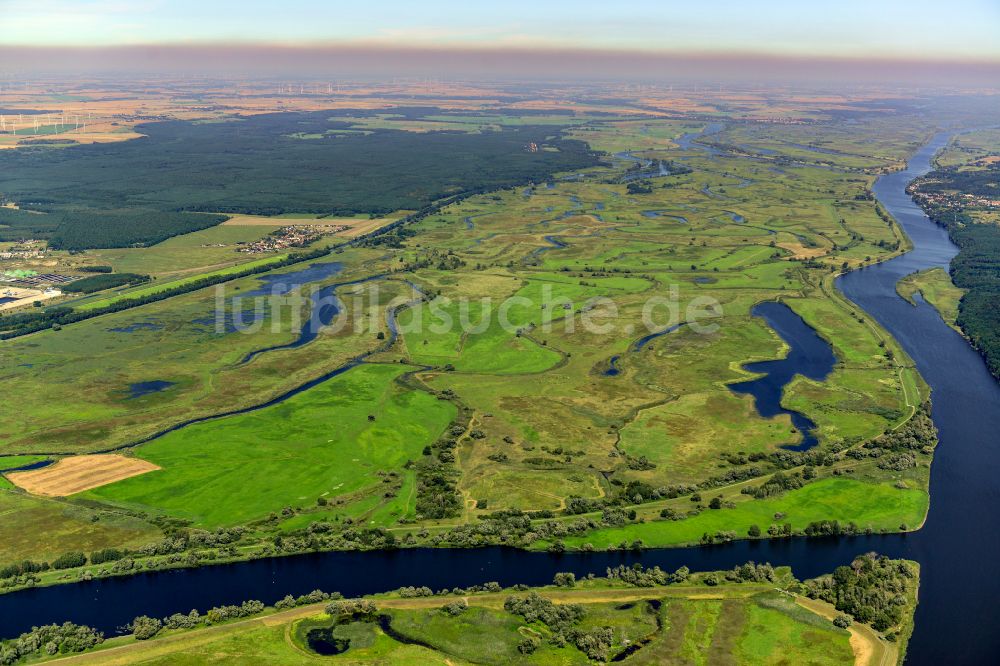 Gatow von oben - Strukturen einer Auen und- Wiesen- Landschaft am Ufer des Flußverlaufes der Oder in Gatow im Bundesland Brandenburg, Deutschland