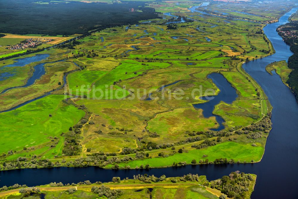 Gatow aus der Vogelperspektive: Strukturen einer Auen und- Wiesen- Landschaft am Ufer des Flußverlaufes der Oder in Gatow im Bundesland Brandenburg, Deutschland