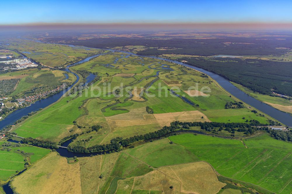 Luftbild Górki Krajnickie - Strukturen einer Auen und- Wiesen- Landschaft am Ufer des Flußverlaufes der Oder in Gorki Krajnickie im Bundesland Brandenburg, Deutschland