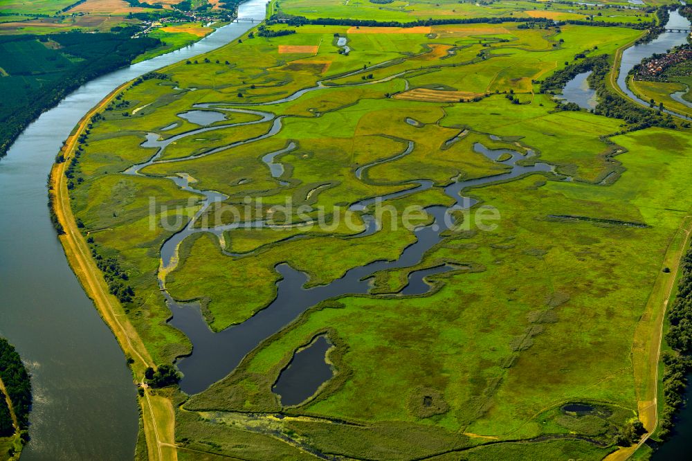 Górki Krajnickie von oben - Strukturen einer Auen und- Wiesen- Landschaft am Ufer des Flußverlaufes der Oder in Gorki Krajnickie im Bundesland Brandenburg, Deutschland