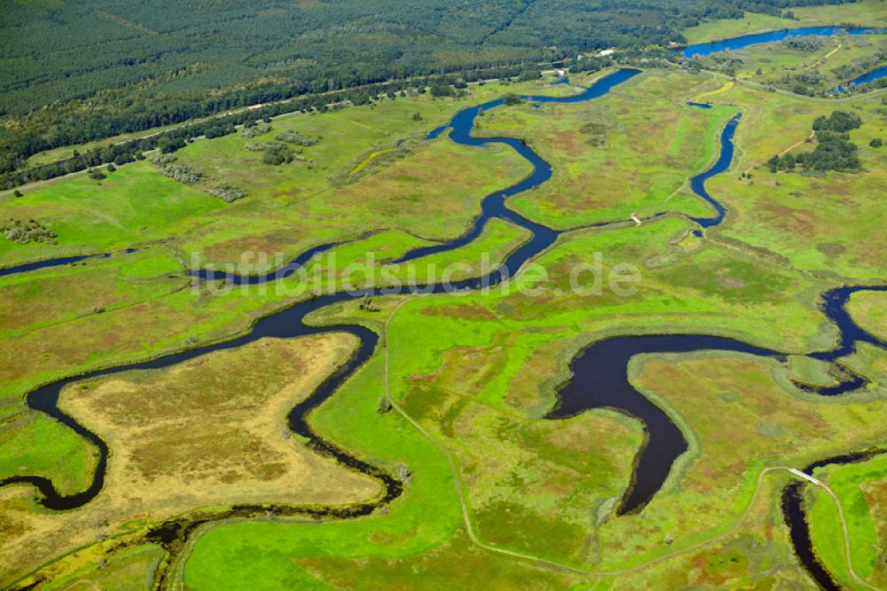 Górki Krajnickie aus der Vogelperspektive: Strukturen einer Auen und- Wiesen- Landschaft am Ufer des Flußverlaufes der Oder in Gorki Krajnickie im Bundesland Brandenburg, Deutschland