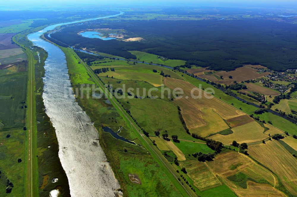 Luftbild Lunow - Strukturen einer Auen und- Wiesen- Landschaft am Ufer des Flußverlaufes der Oder in Lunow im Bundesland Brandenburg, Deutschland