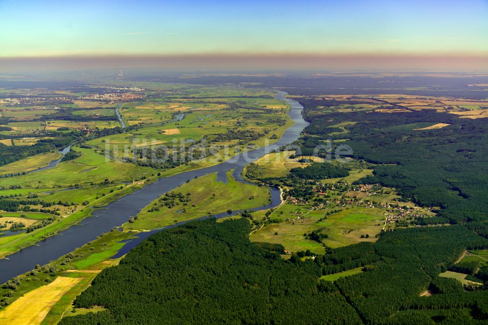 Luftaufnahme Schöneberg - Strukturen einer Auen und- Wiesen- Landschaft am Ufer des Flußverlaufes der Oder in Schöneberg im Bundesland Brandenburg, Deutschland