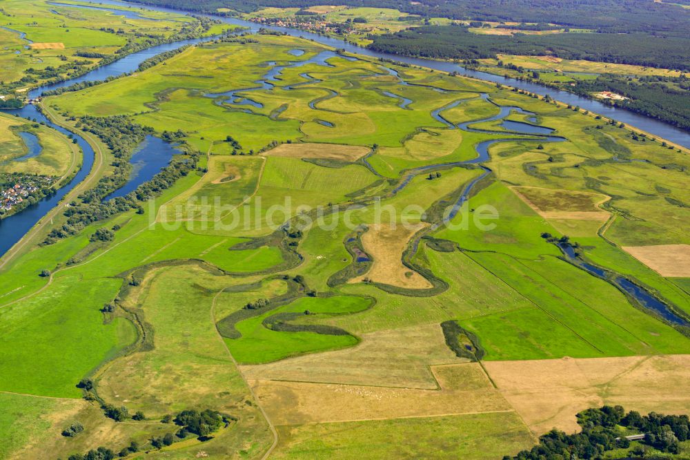 Schwedt/Oder aus der Vogelperspektive: Strukturen einer Auen und- Wiesen- Landschaft am Ufer des Flußverlaufes der Oder in Schwedt/Oder im Bundesland Brandenburg, Deutschland