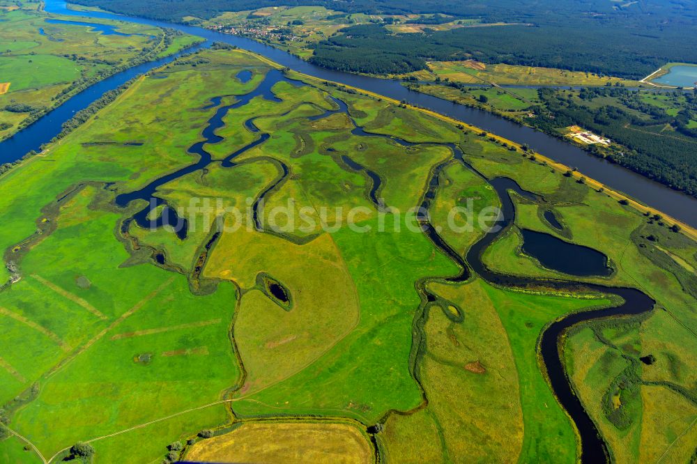 Luftaufnahme Schwedt/Oder - Strukturen einer Auen und- Wiesen- Landschaft am Ufer des Flußverlaufes der Oder in Schwedt/Oder im Bundesland Brandenburg, Deutschland