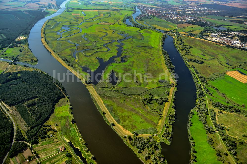 Luftaufnahme Schwedt/Oder - Strukturen einer Auen und- Wiesen- Landschaft am Ufer des Flußverlaufes der Oder in Schwedt/Oder im Bundesland Brandenburg, Deutschland