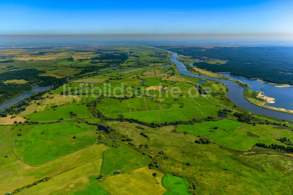 Stolzenhagen aus der Vogelperspektive: Strukturen einer Auen und- Wiesen- Landschaft am Ufer des Flußverlaufes der Oder in Stolzenhagen im Bundesland Brandenburg, Deutschland