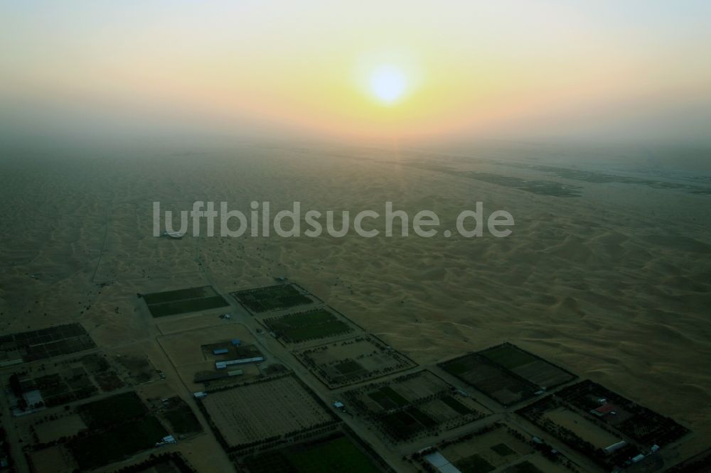 Luftbild Dubai - Strukturen auf Feldern einer Palmen- Baumschule in Dubai, Vereinigte Arabische Emirate