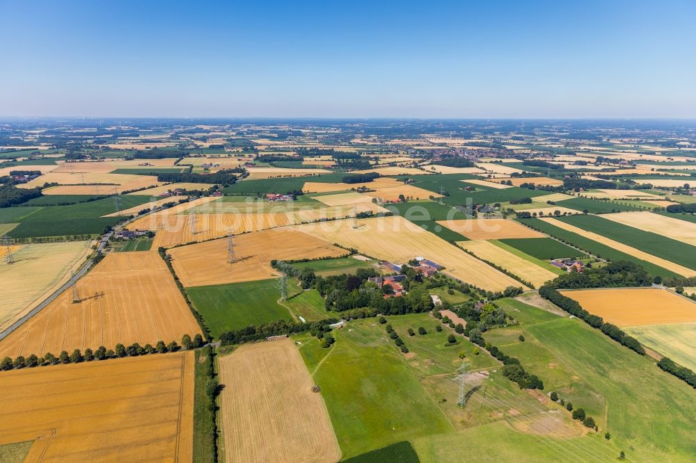 Ahlen von oben - Strukturen auf landwirtschaftlichen Feldern in Ahlen im Bundesland Nordrhein-Westfalen, Deutschland