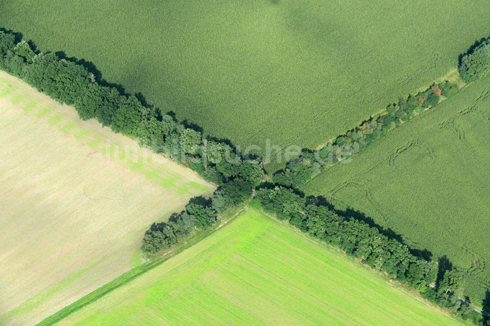 Alfhausen aus der Vogelperspektive: Strukturen auf landwirtschaftlichen Feldern in Alfhausen im Bundesland Niedersachsen