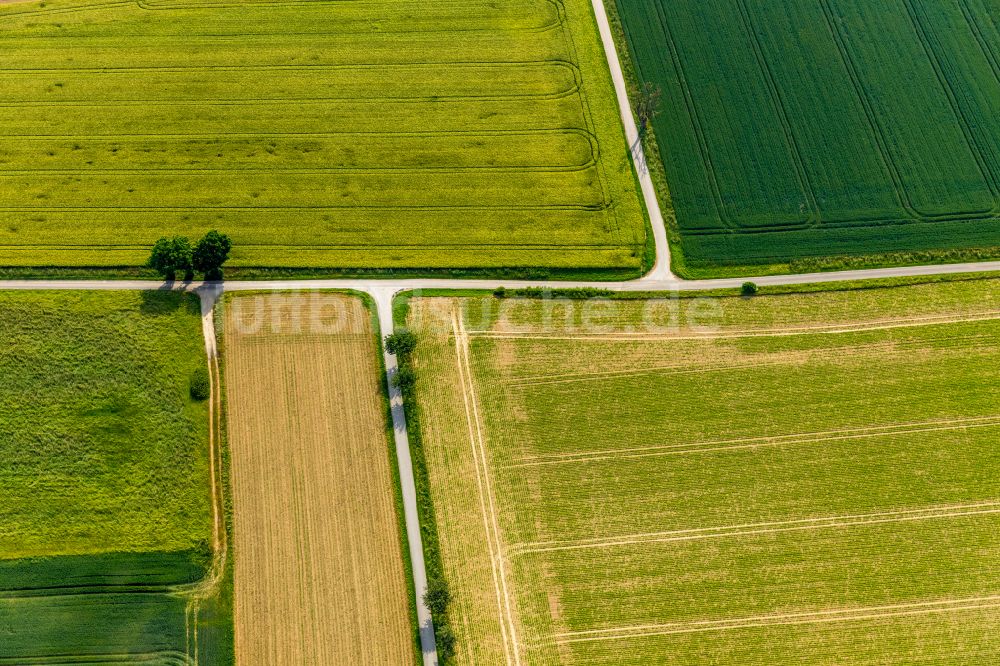 Ampen aus der Vogelperspektive: Strukturen auf landwirtschaftlichen Feldern in Ampen im Bundesland Nordrhein-Westfalen, Deutschland