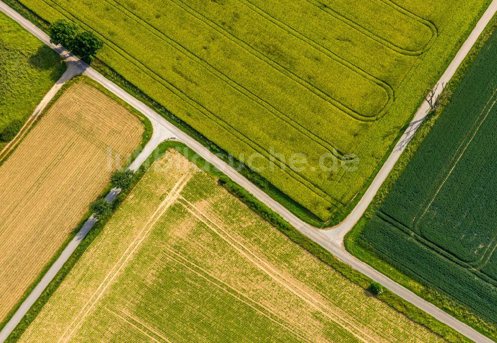 Luftaufnahme Ampen - Strukturen auf landwirtschaftlichen Feldern in Ampen im Bundesland Nordrhein-Westfalen, Deutschland