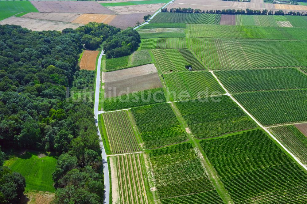 Appenheim aus der Vogelperspektive: Strukturen auf landwirtschaftlichen Feldern in Appenheim im Bundesland Rheinland-Pfalz, Deutschland