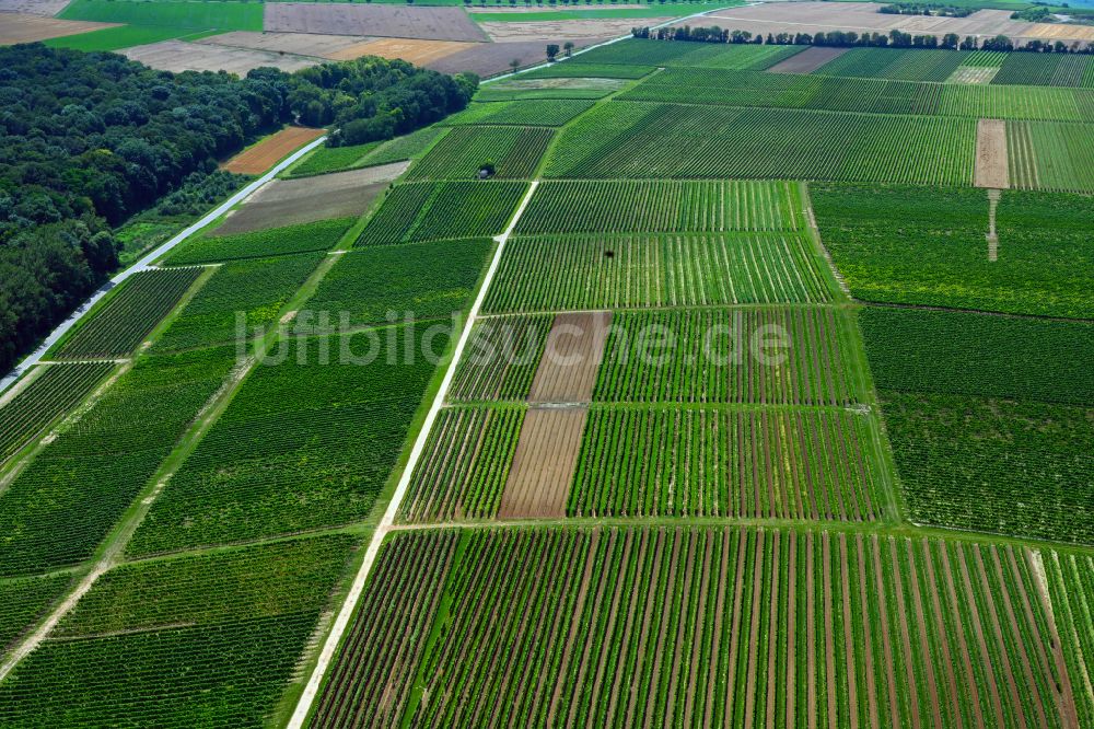 Luftbild Appenheim - Strukturen auf landwirtschaftlichen Feldern in Appenheim im Bundesland Rheinland-Pfalz, Deutschland