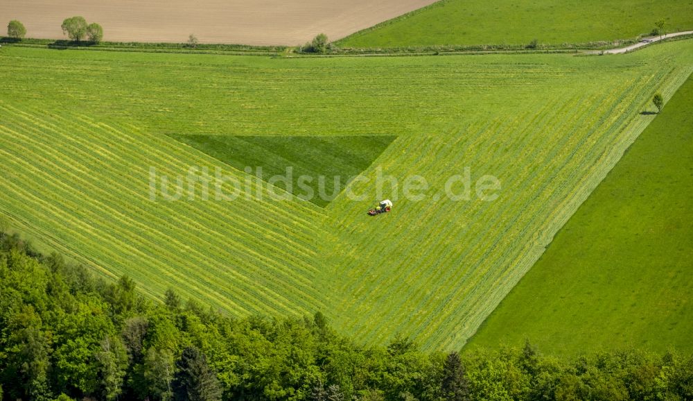 Luftaufnahme Arnsberg - Strukturen auf landwirtschaftlichen Feldern in Arnsberg im Bundesland Nordrhein-Westfalen