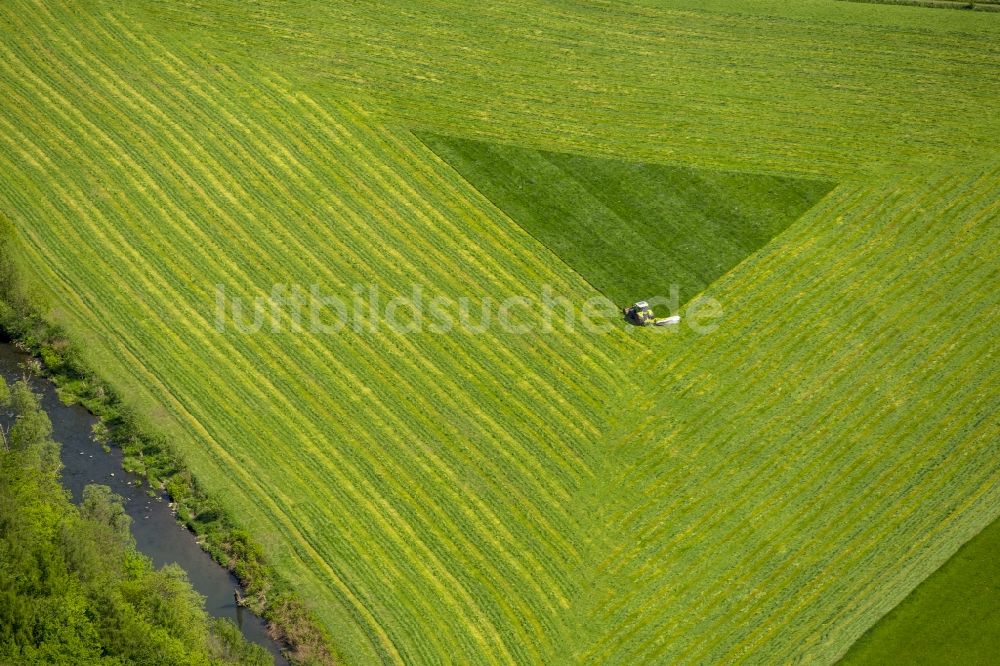 Arnsberg von oben - Strukturen auf landwirtschaftlichen Feldern in Arnsberg im Bundesland Nordrhein-Westfalen