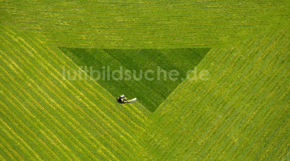 Arnsberg aus der Vogelperspektive: Strukturen auf landwirtschaftlichen Feldern in Arnsberg im Bundesland Nordrhein-Westfalen