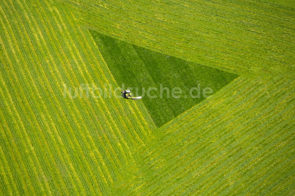 Luftbild Arnsberg - Strukturen auf landwirtschaftlichen Feldern in Arnsberg im Bundesland Nordrhein-Westfalen