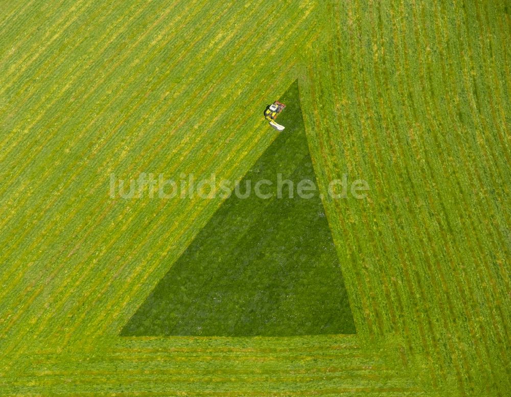 Luftaufnahme Arnsberg - Strukturen auf landwirtschaftlichen Feldern in Arnsberg im Bundesland Nordrhein-Westfalen