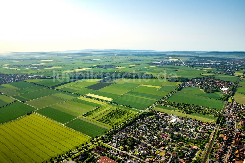 Asel von oben - Strukturen auf landwirtschaftlichen Feldern in Asel im Bundesland Niedersachsen, Deutschland