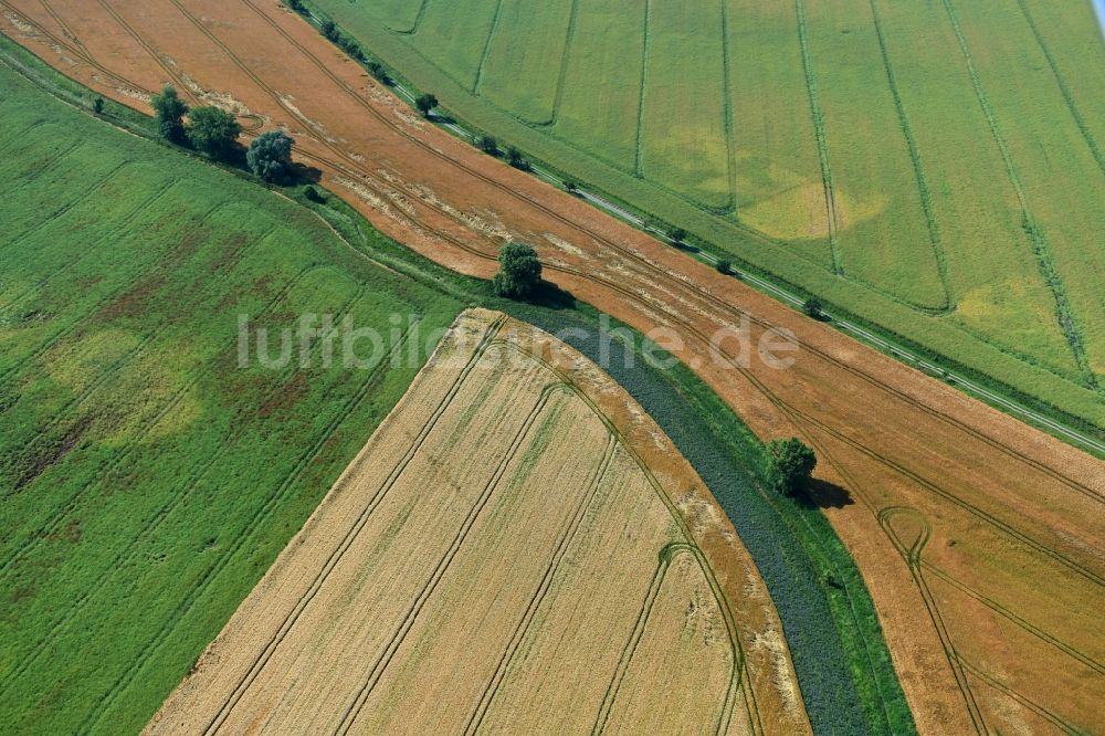 Athenstedt von oben - Strukturen auf landwirtschaftlichen Feldern in Athenstedt im Bundesland Sachsen-Anhalt, Deutschland