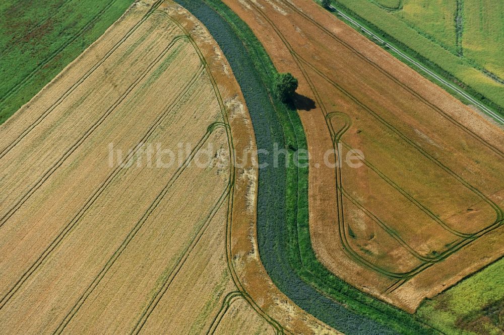 Athenstedt aus der Vogelperspektive: Strukturen auf landwirtschaftlichen Feldern in Athenstedt im Bundesland Sachsen-Anhalt, Deutschland