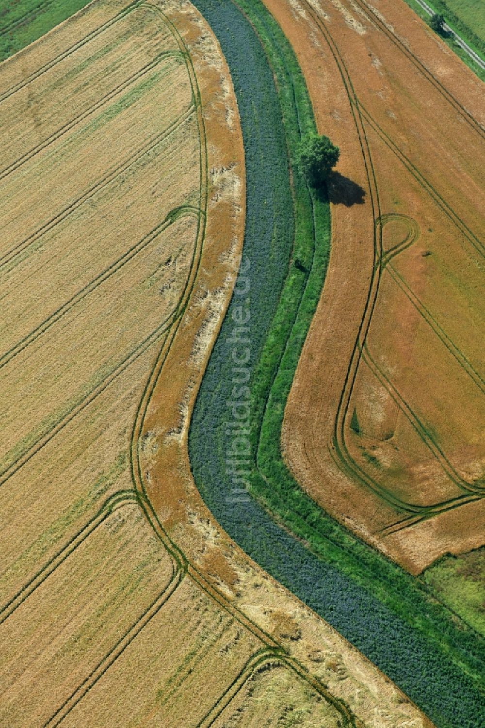 Luftbild Athenstedt - Strukturen auf landwirtschaftlichen Feldern in Athenstedt im Bundesland Sachsen-Anhalt, Deutschland