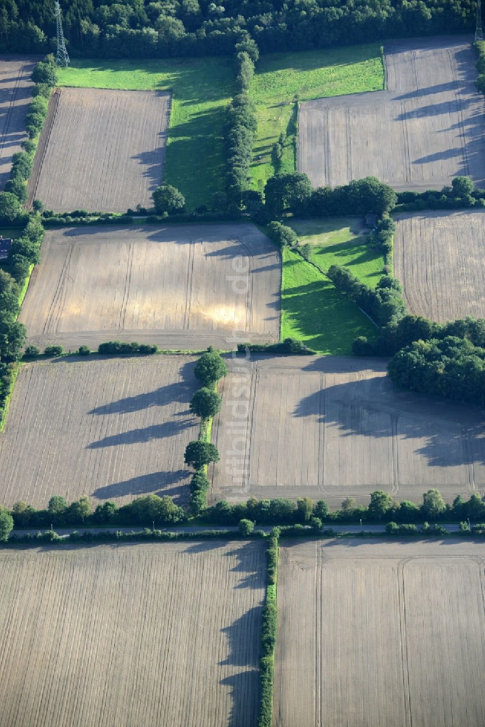 Barsbüttel von oben - Strukturen auf landwirtschaftlichen Feldern in Barsbüttel im Bundesland Schleswig-Holstein