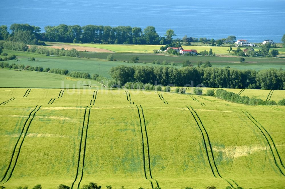 Luftaufnahme Bastorf - Strukturen auf landwirtschaftlichen Feldern in Bastorf im Bundesland Mecklenburg-Vorpommern, Deutschland