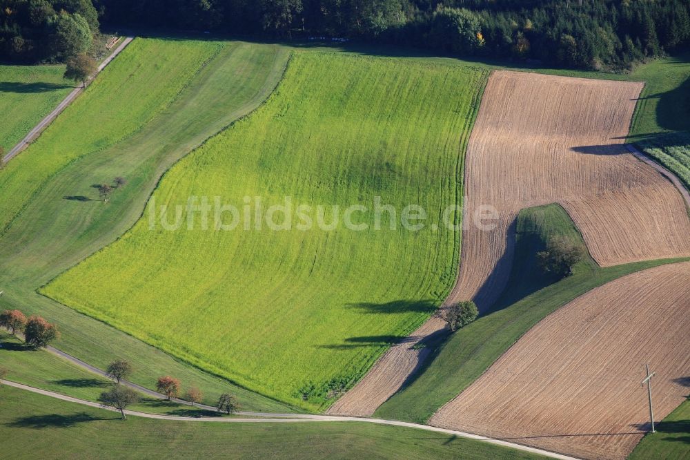 Schopfheim von oben - Strukturen auf landwirtschaftlichen Feldern bei Schopfheim im Bundesland Baden-Württemberg