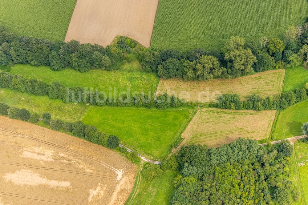 Luftaufnahme Bentrop - Strukturen auf landwirtschaftlichen Feldern in Bentrop im Bundesland Nordrhein-Westfalen, Deutschland