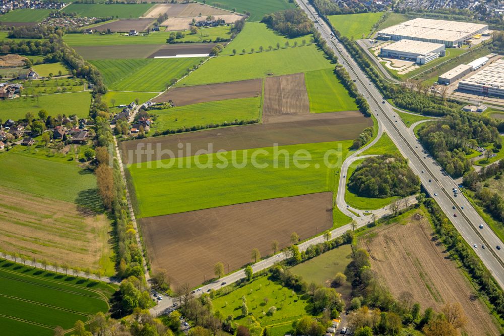 Luftaufnahme Bergkamen - Strukturen auf landwirtschaftlichen Feldern in Bergkamen im Bundesland Nordrhein-Westfalen, Deutschland